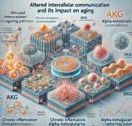 Professional enzyme preparation OEM: AKG kale powder+white k